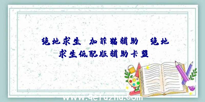 「绝地求生